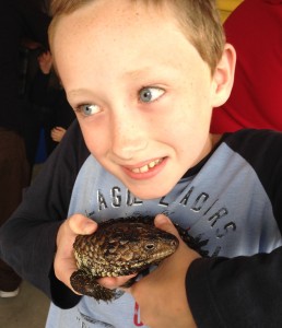 This is me holding a shingleback
